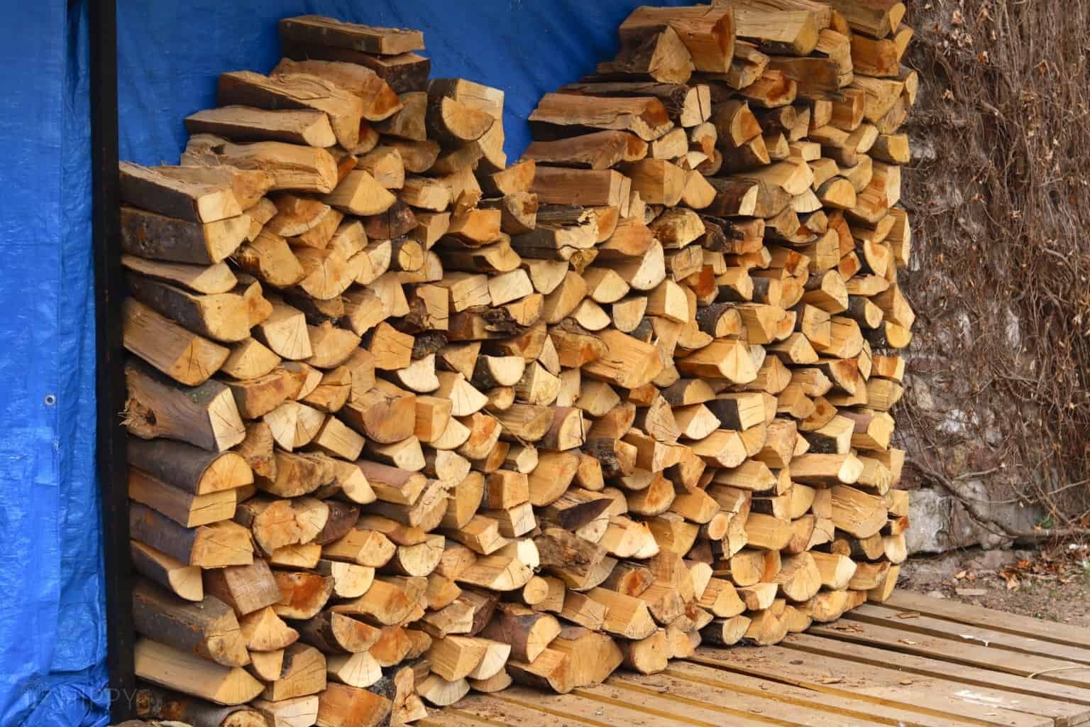 Bøgebrænde Polena – 500 kg, 25 cm – billede 2